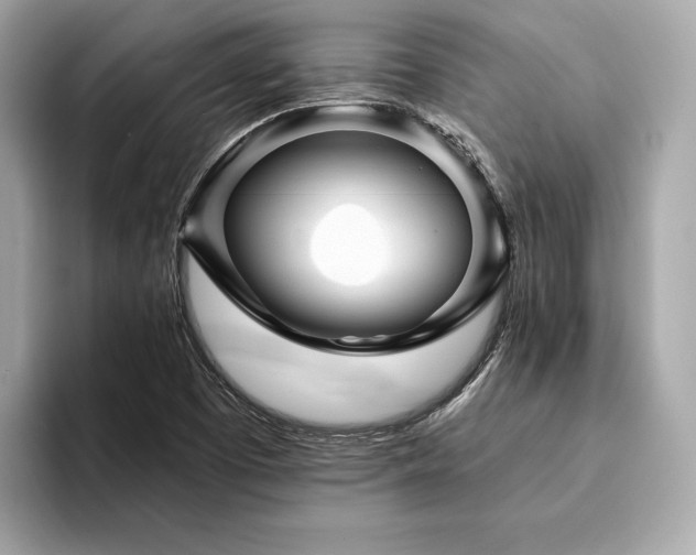X0000094191457200710261122