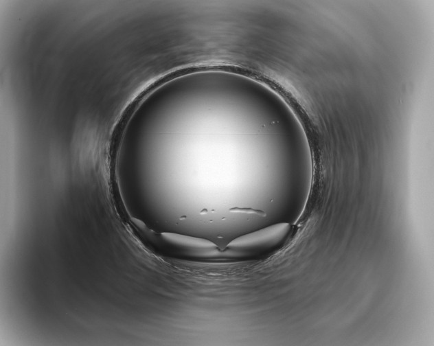 X0000094191460200710261122