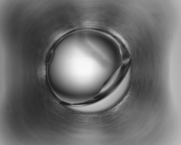 X0000094191461200710261122