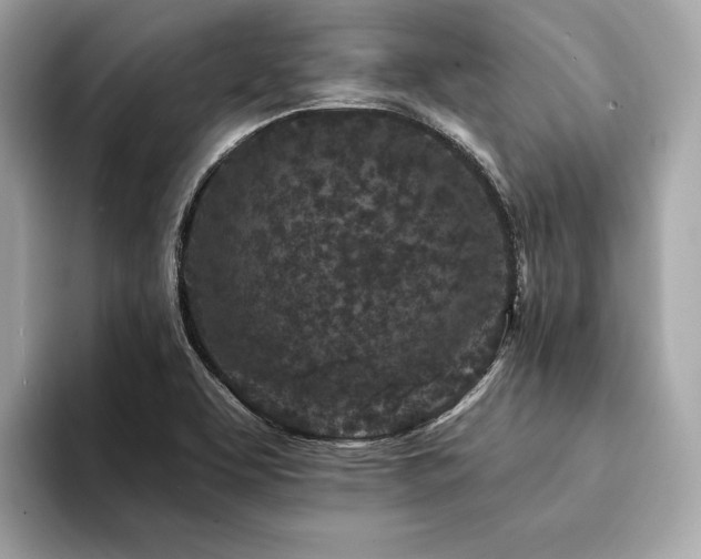 X0000094191463200710261122