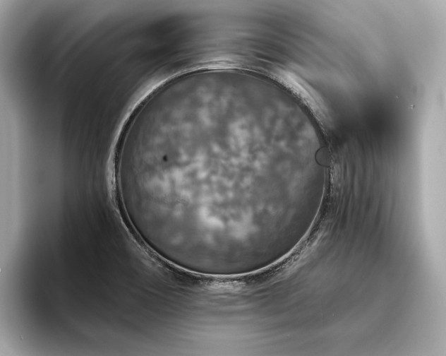 X0000094191466200710261122