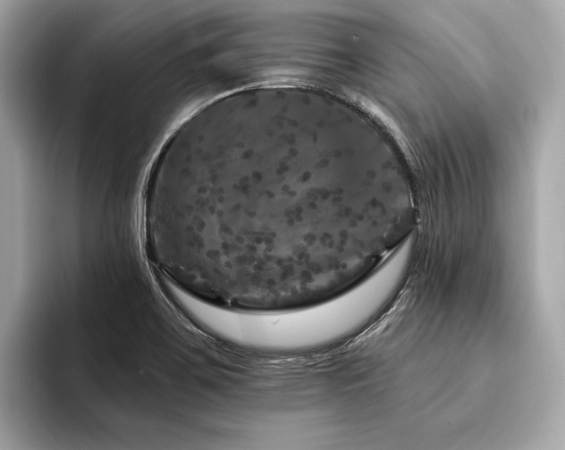 X0000094191467200710261121