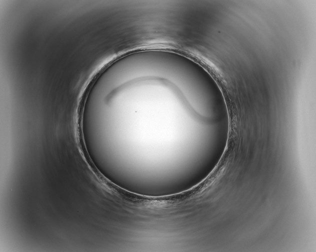 X0000094191470200710261121