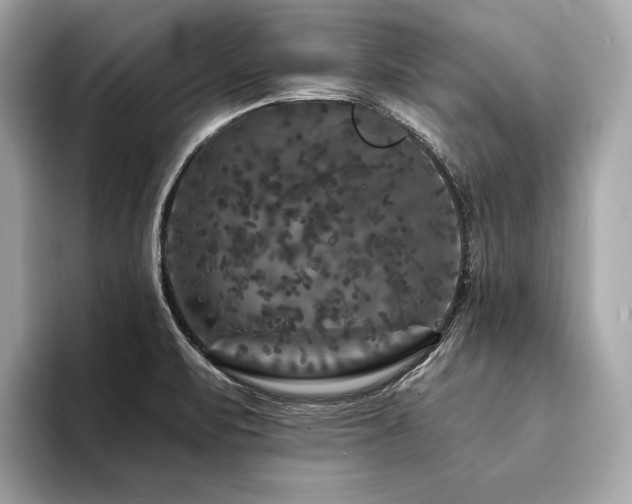 X0000094191471200710261121