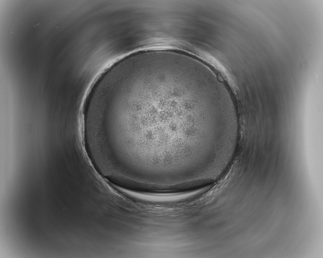 X0000094191472200710261121