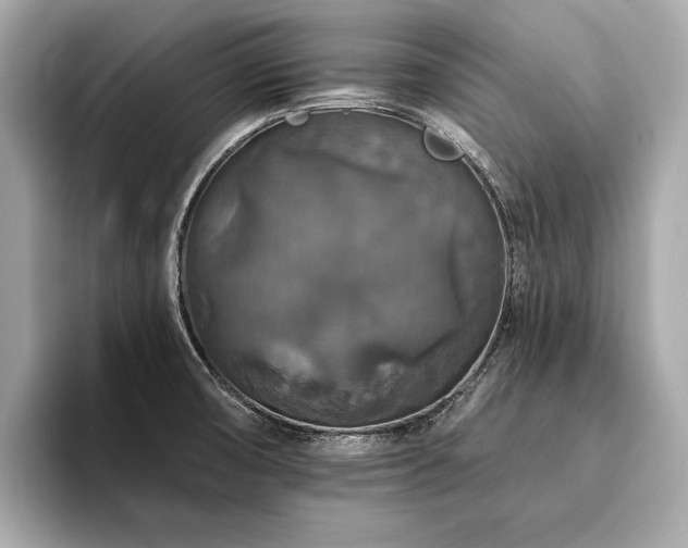 X0000094191474200710261121