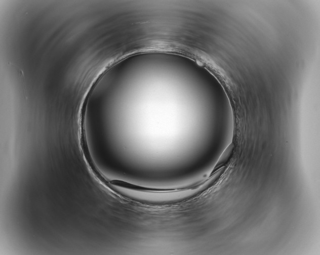 X0000094191479200710261121