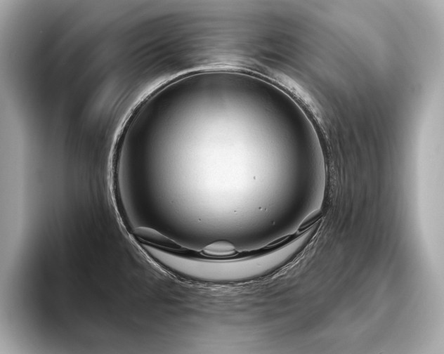 X0000094191480200710261121