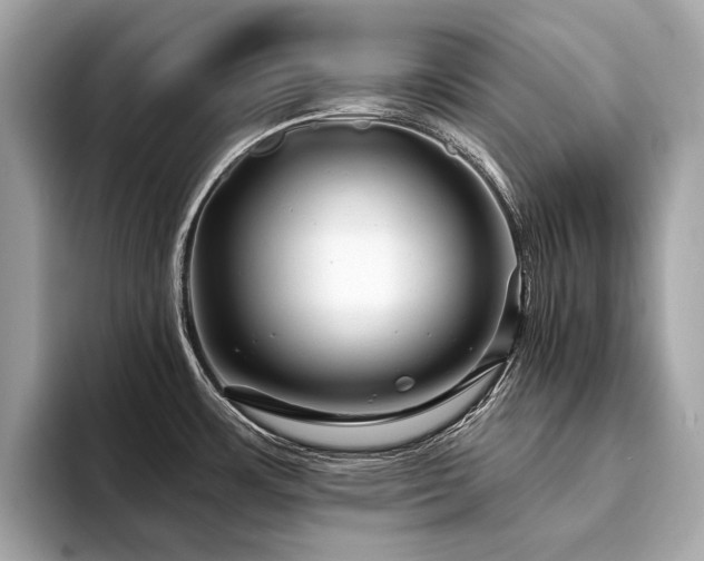 X0000094191483200710261121