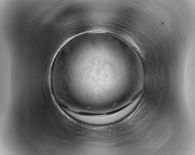 X0000094191484200710261121
