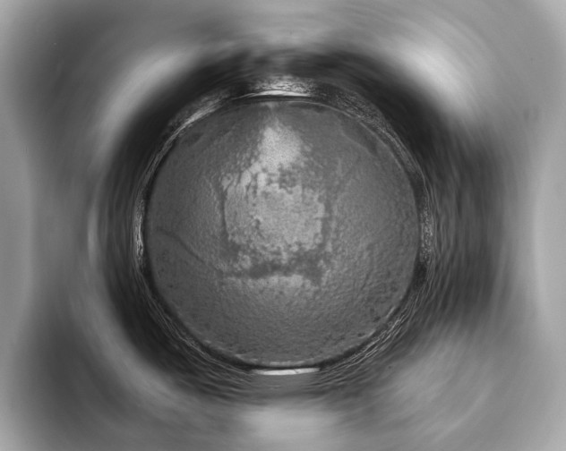 X0000094191487200710261121