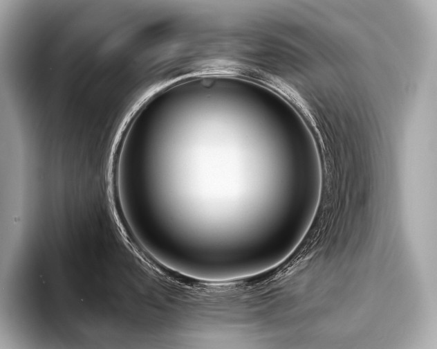 X0000094191488200710261121