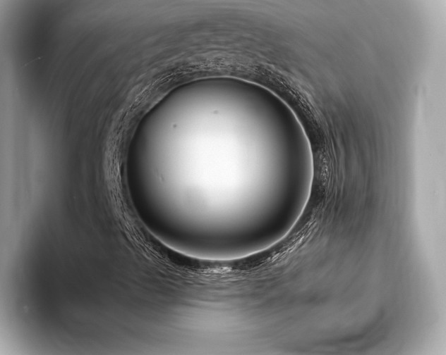X0000094191489200710261120
