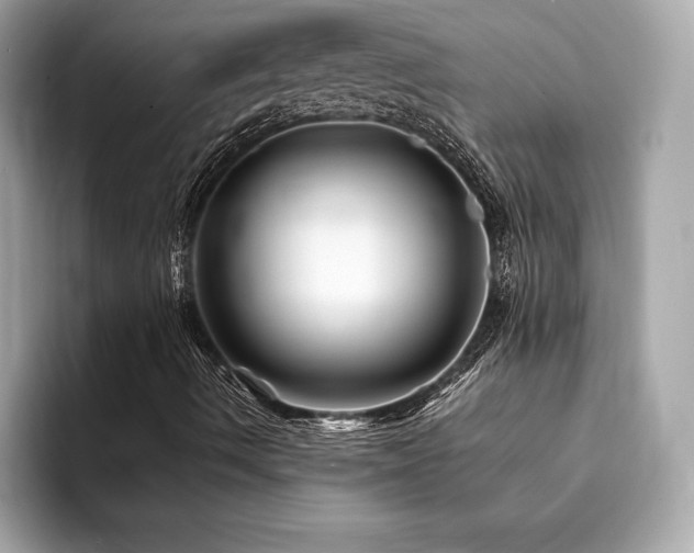 X0000094191490200710261120
