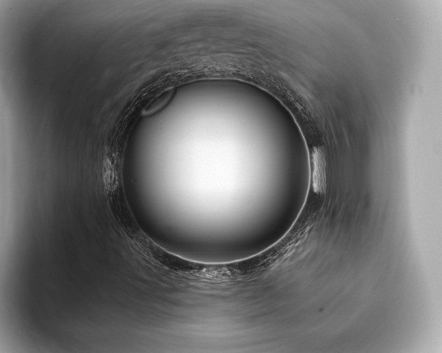 X0000094191491200710261120