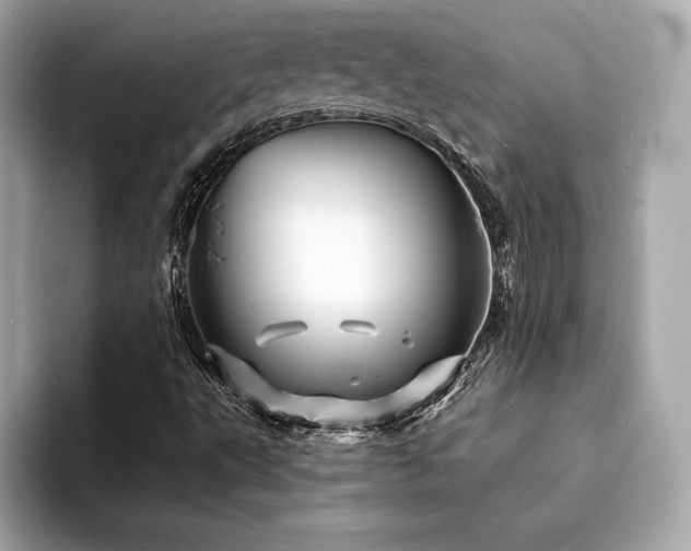 X0000094191495200710261120