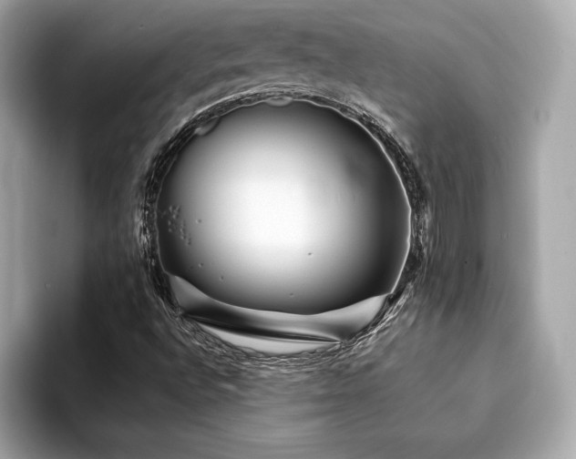 X0000094191496200710261120