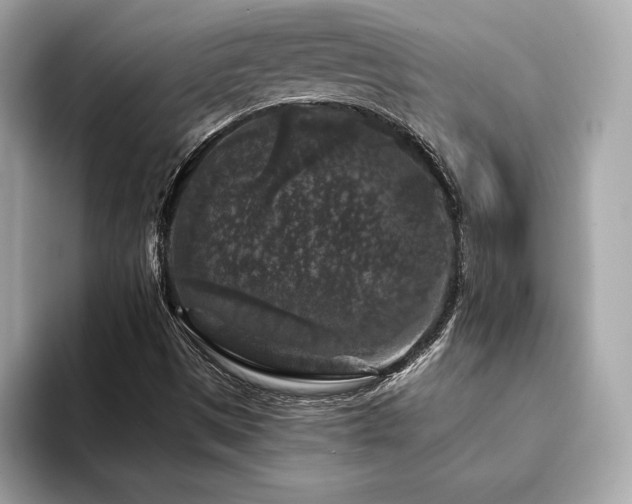 X0000094191497200710261121