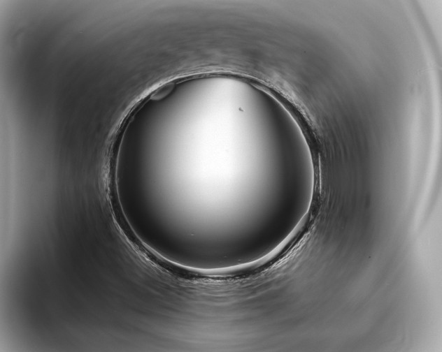 X0000094191500200710261121