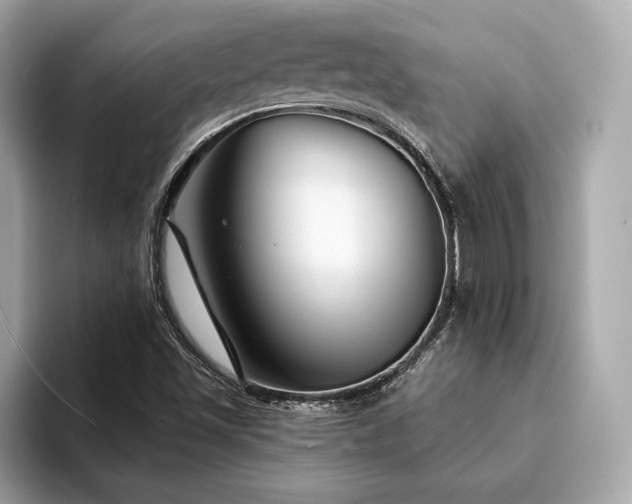X0000094191501200710261121