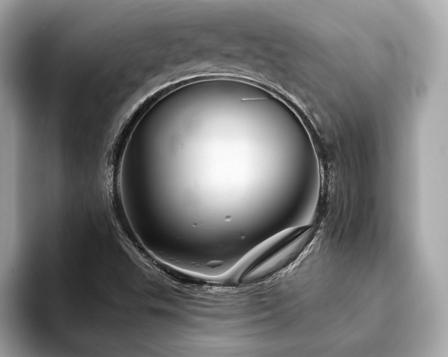 X0000094191503200710261121