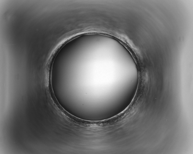 X0000094191504200710261121