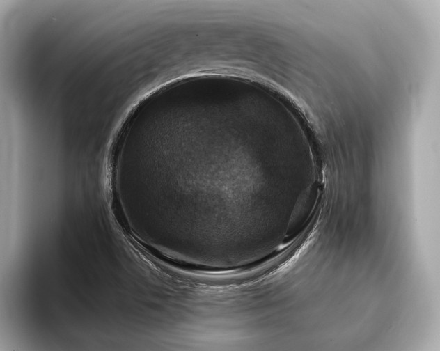 X0000094191506200710261121