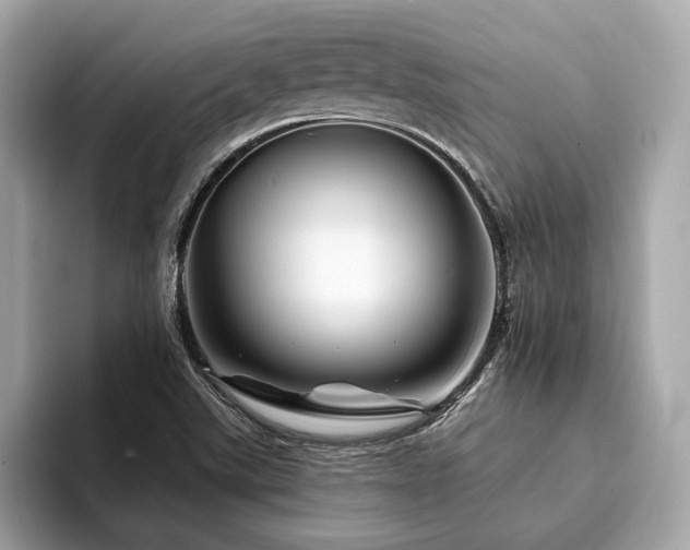 X0000094191507200710261121