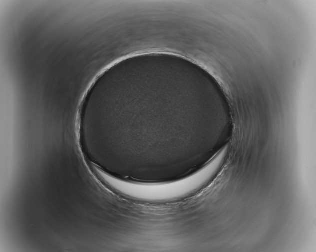 X0000094191508200710261121