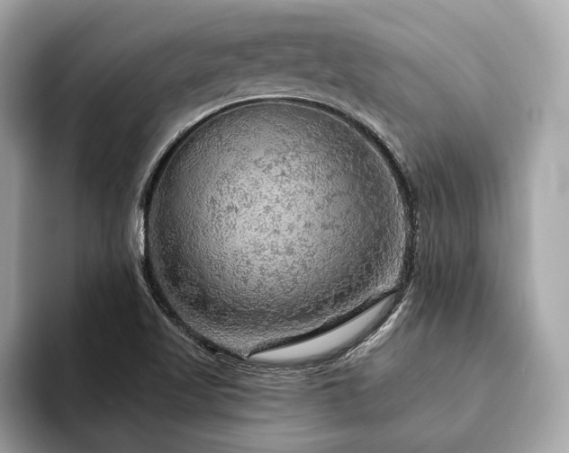 X0000094191509200710261121