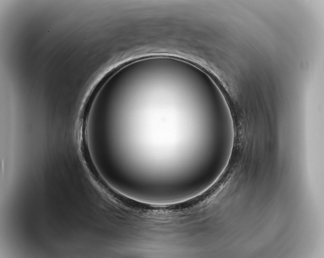 X0000094191511200710261121