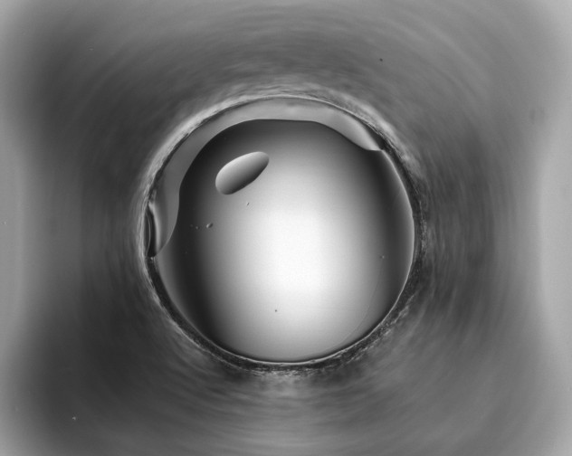 X0000094191512200710261121