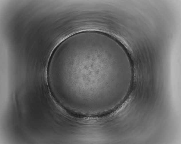 X0000094191513200710261121