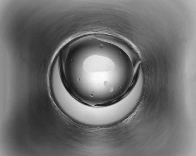 X0000094191514200710261121