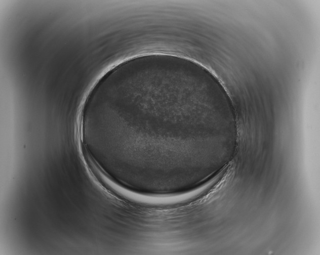 X0000094191515200710261121