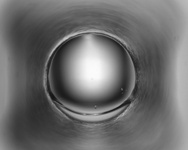 X0000094191518200710261121
