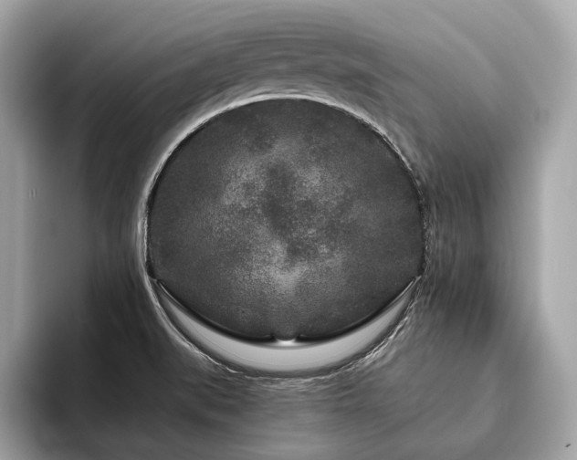 X0000094191519200710261121