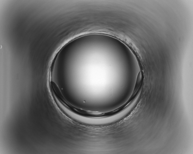 X0000094191520200710261121