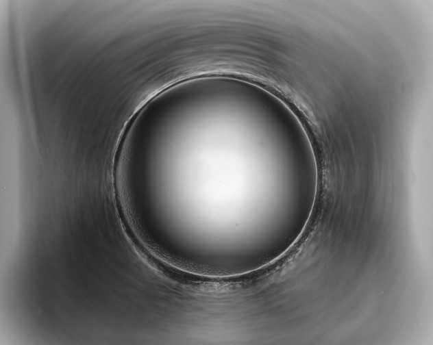 X0000094191521200710261121
