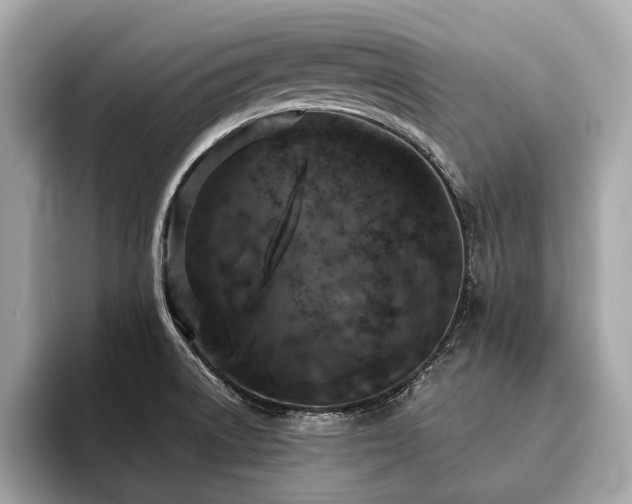 X0000094191522200710261121