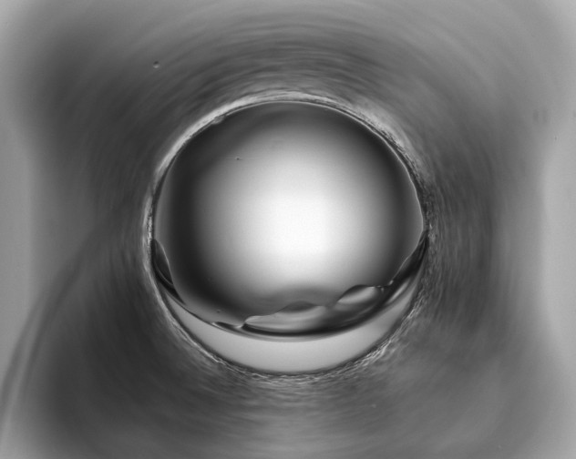 X0000094191524200710261121