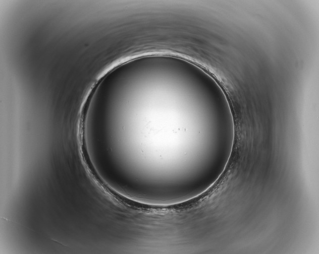 X0000094191526200710261121