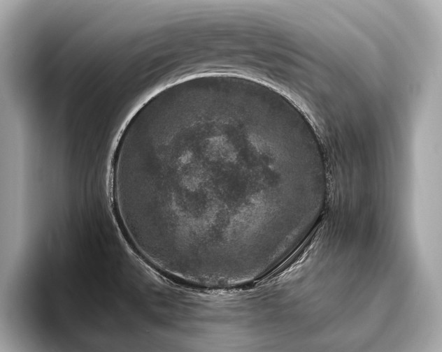 X0000094191527200710261121