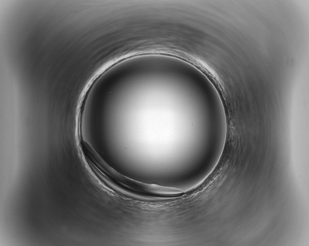 X0000094191528200710261121