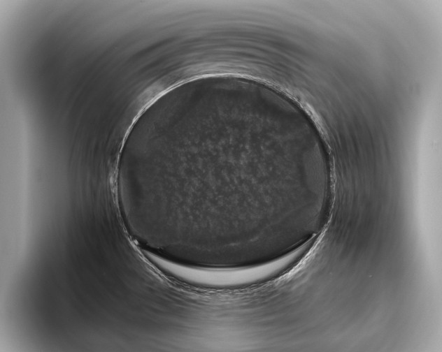 X0000094191529200710261121