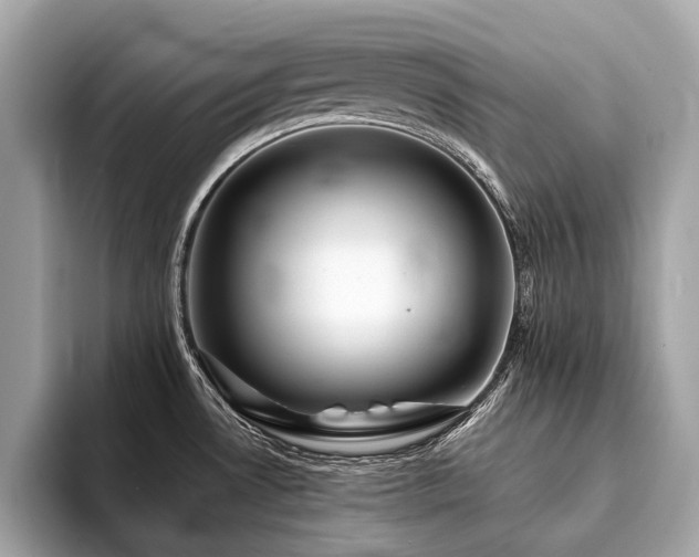 X0000094191530200710261121
