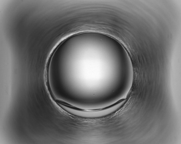 X0000094191531200710261121