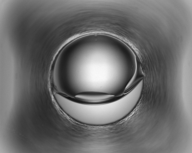 X0000094191534200710261121