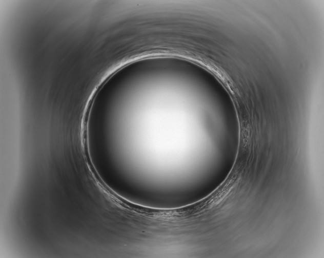 X0000094191535200710261121
