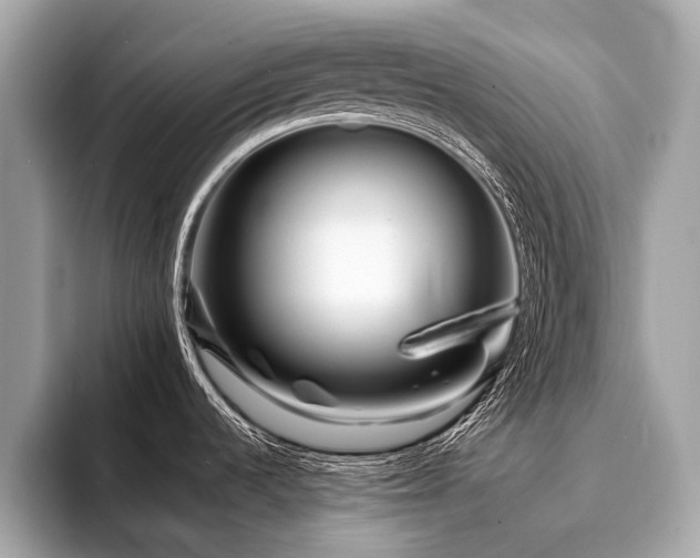 X0000094191536200710261121